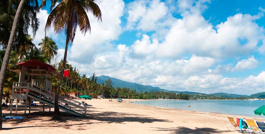 A lifeguard tower and palm trees in La Monserrate Beach