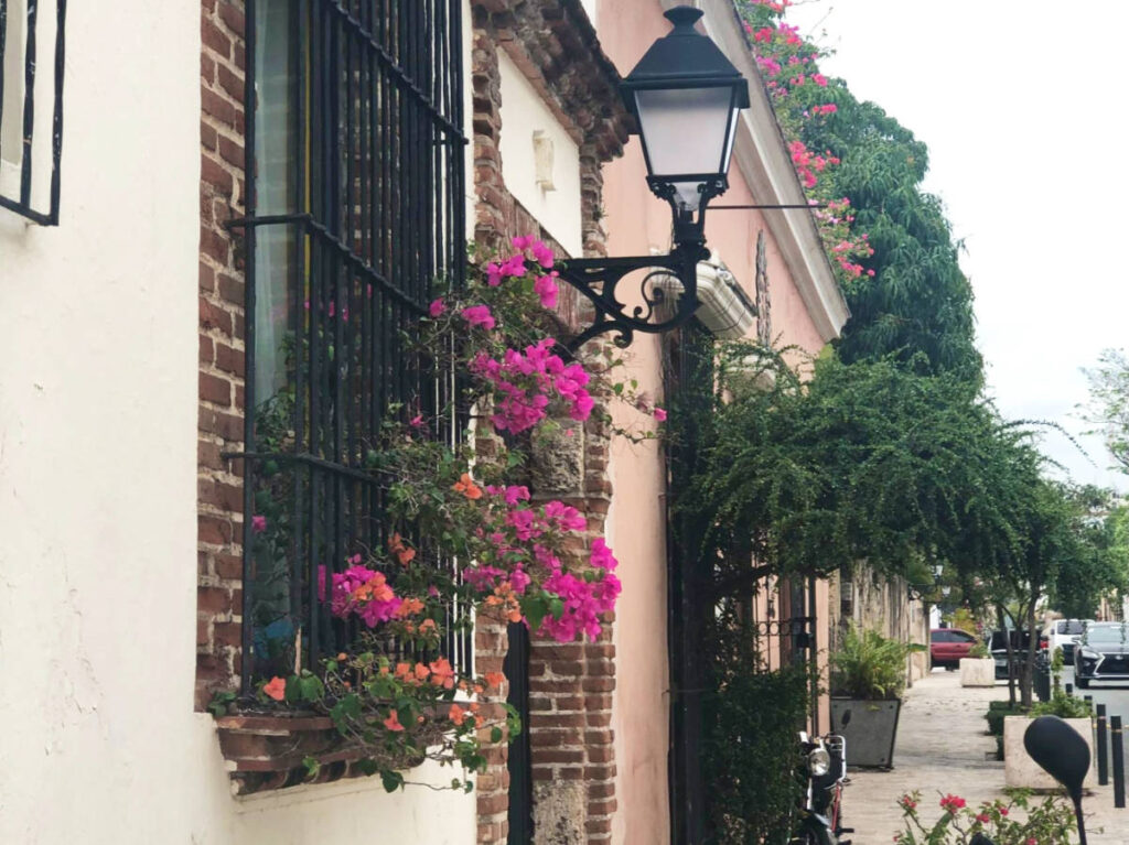 View of the blooming flowers along the La Zona Colonial neighborhood