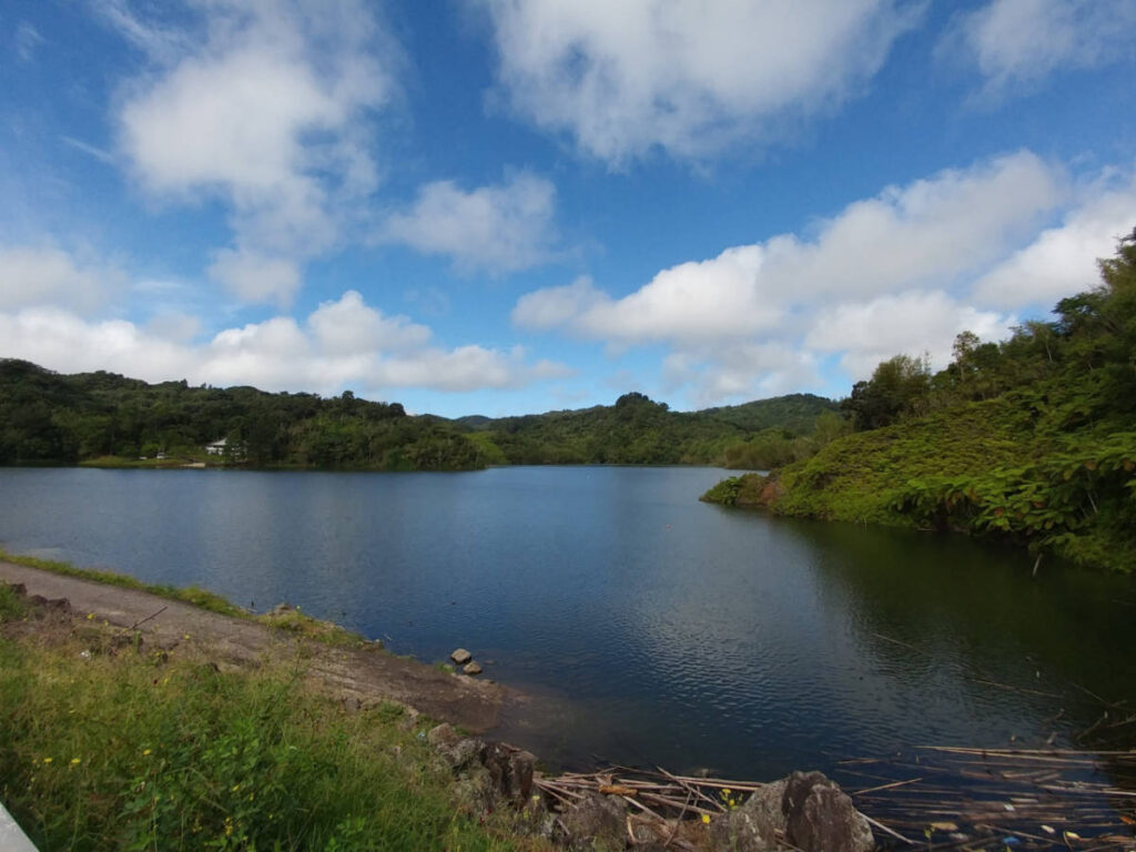 View of the Lago Garzas surrounded by greenery