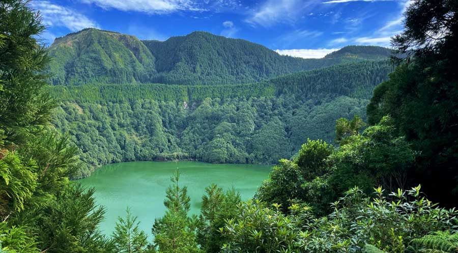 View of the green water in Lagoa de Santiago