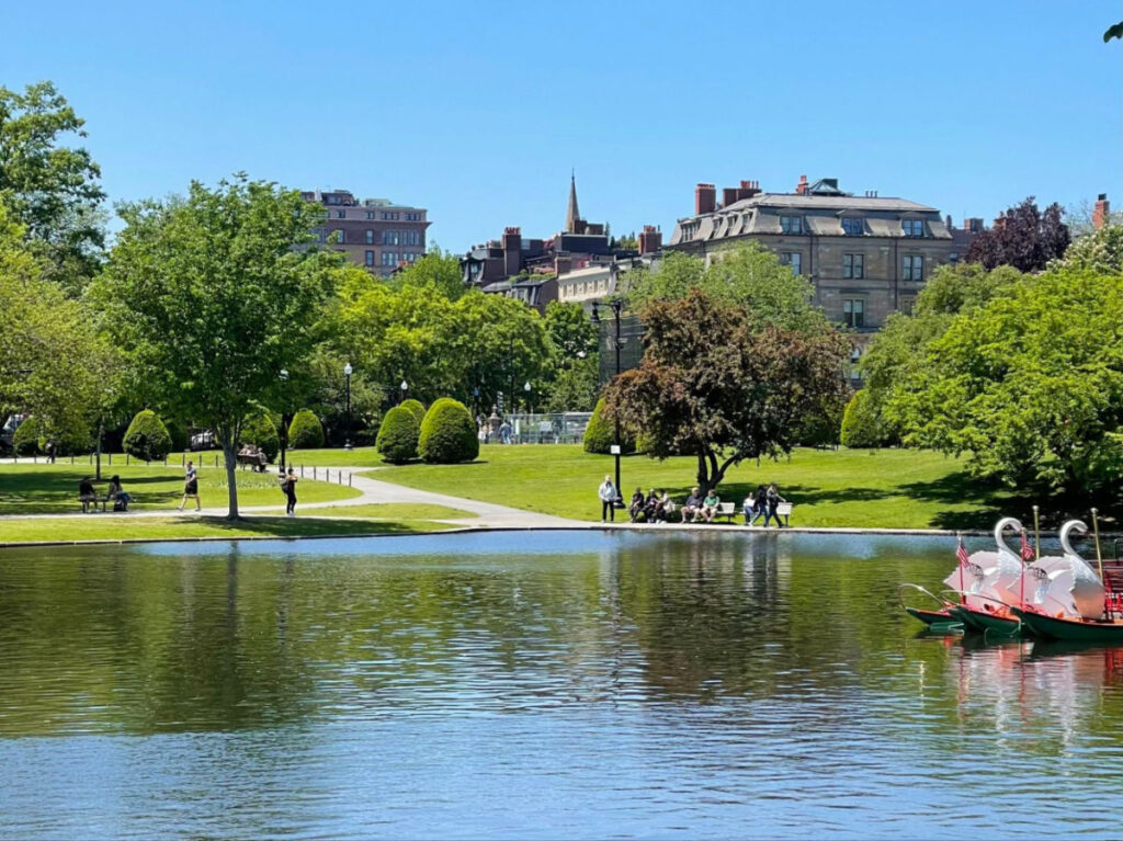 View of the lagoon at the Public Garden