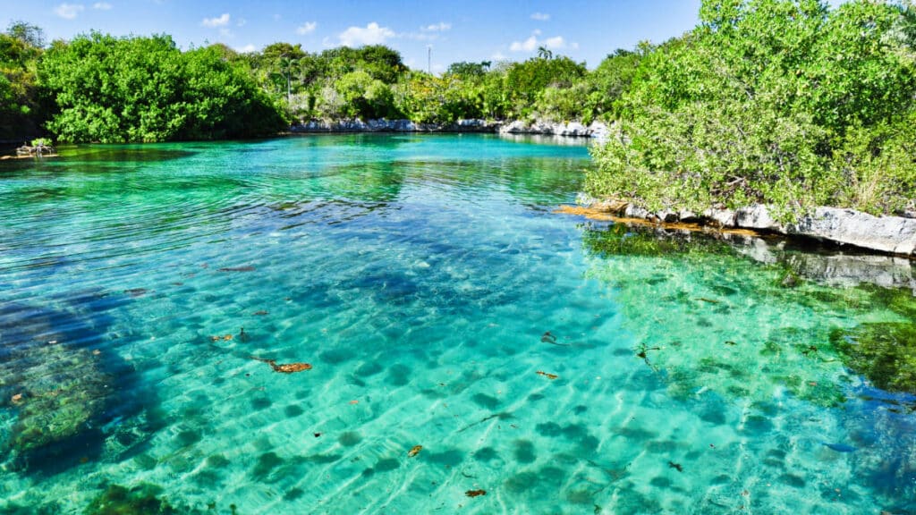 View of the turquoise lagoon surrounded by greenery at Xel-Ha Park