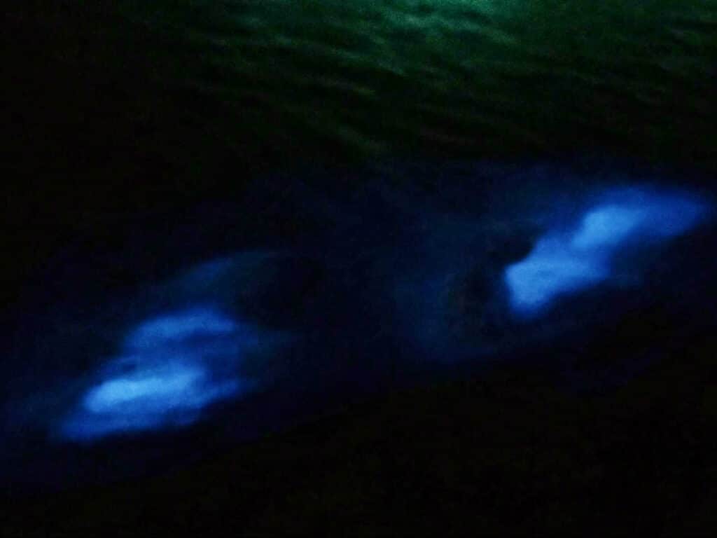 The glowing water in Laguna Grande at night