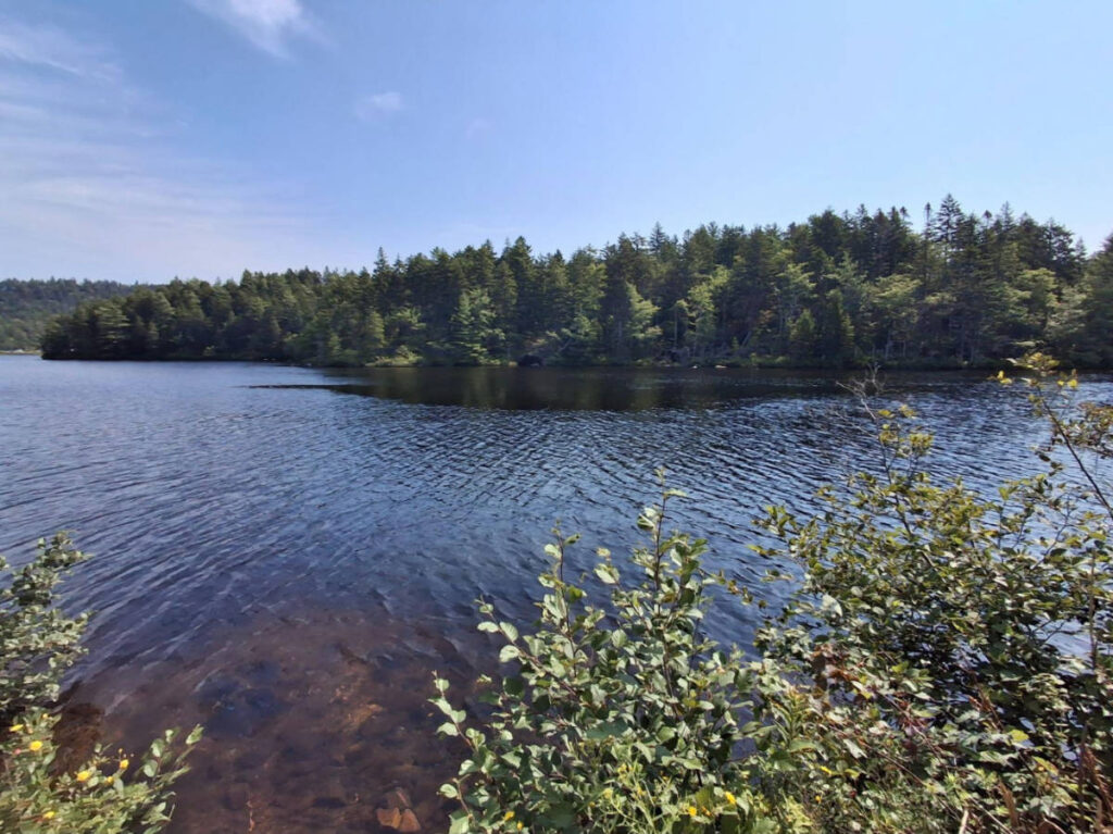 Scenic overlooking view of the clear water of the lake with greenery around