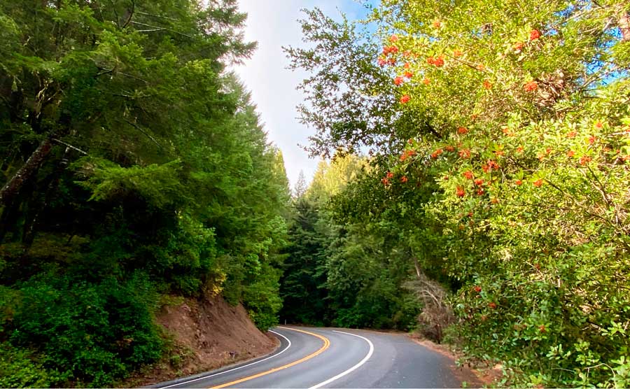 Mountain view while driving along the Lake Arrowhead