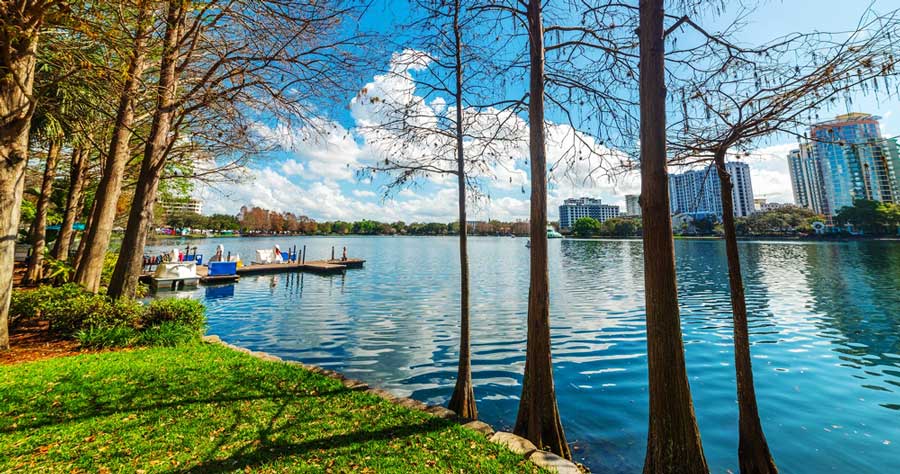 View of trees and the clear blue sky in Lake Eola Park