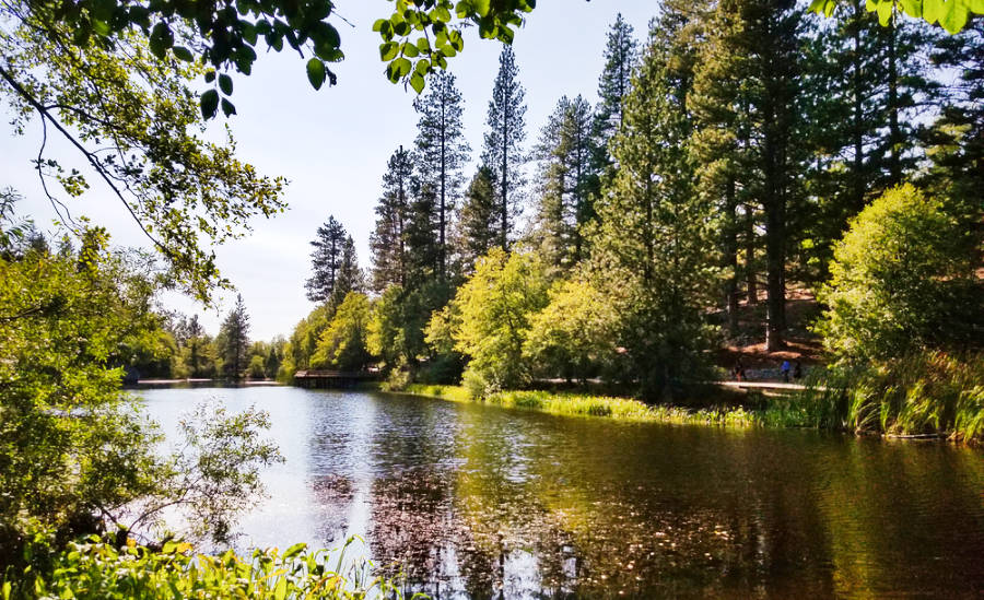 Stunning view of the calm lake Fulmor surrounded with greeneries in California