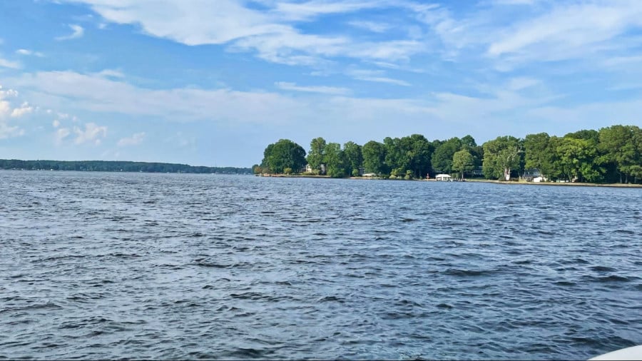 View of lush green trees in the middle of the blue lake and sky in Lake Norman