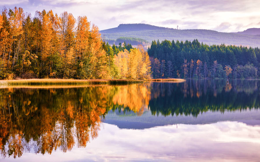 View of the fall foliage reflecting on the water in Lake Padden Park