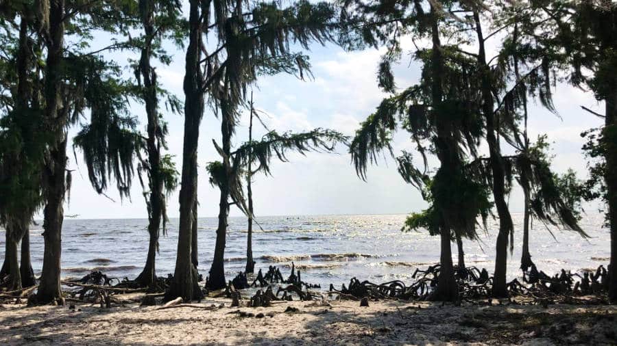 View of the serene lake from the shore of Lake Pontchartrain