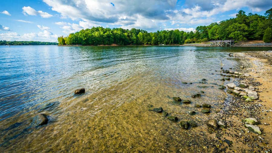 View of the shoreline of Lake Wylie and the greenery around