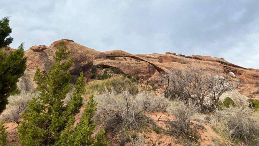 View of the landscape in Arches National Park