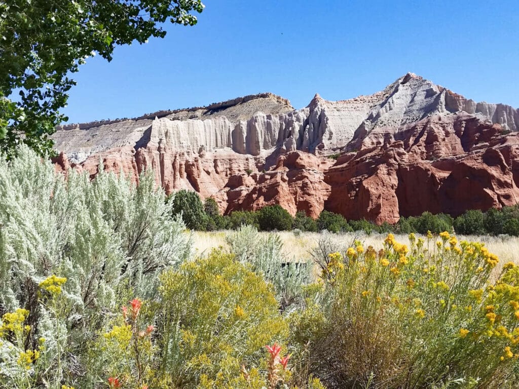 Scenic view of the colorful landscape of Kodachrome Basin State Park
