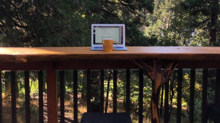 View of trees and a laptop while working remotely in Lake Arrowhead