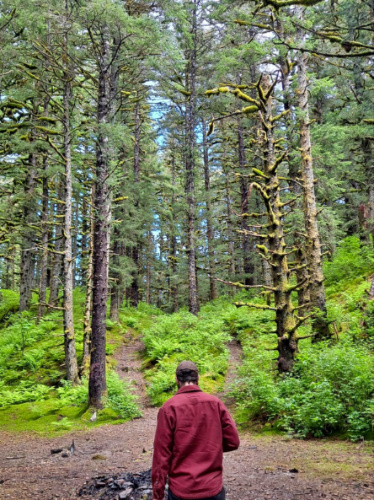 A man walking through a forest with a fire pit at Kodiak