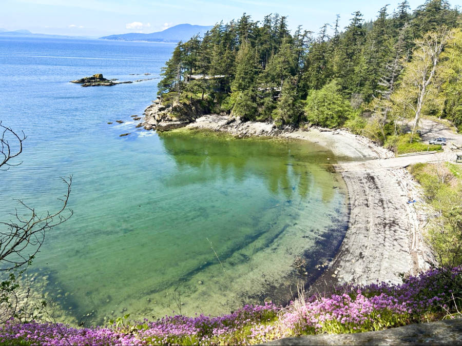 Scenic view of the ocean, blooming flowers, and greenery from above the cove at Larrabee State Park