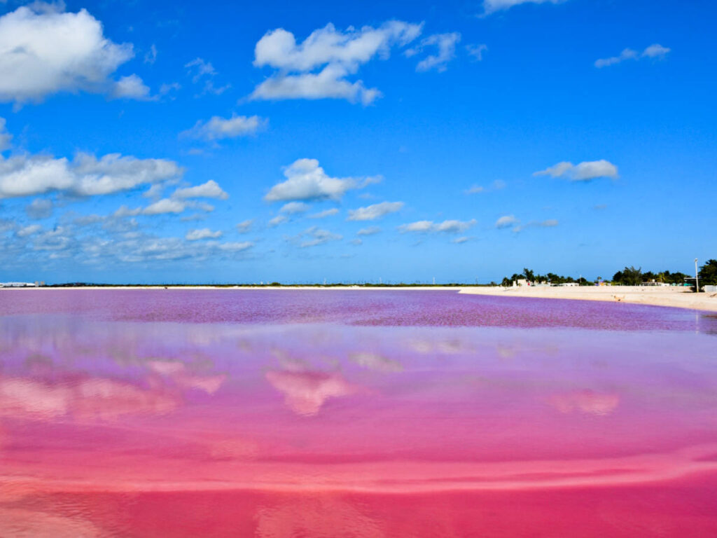 Panoramic view of the pink lagoon and the white sand beach in the distance