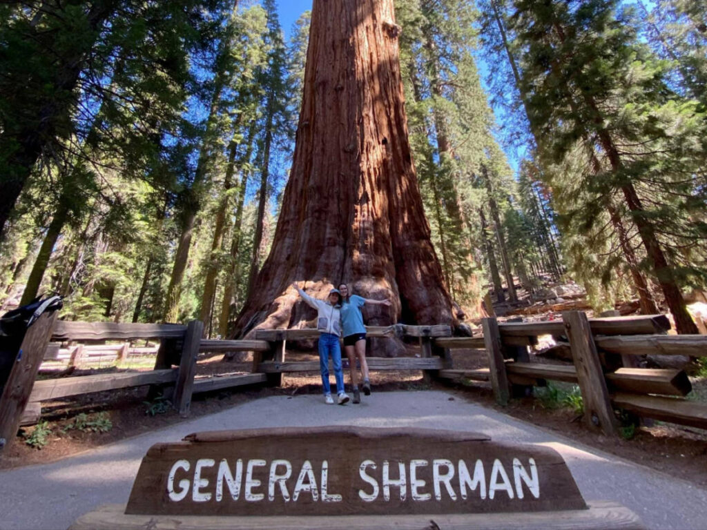 The author Laura McFarland and her partner posing for a photo in front of the huge tree at the General Sherman