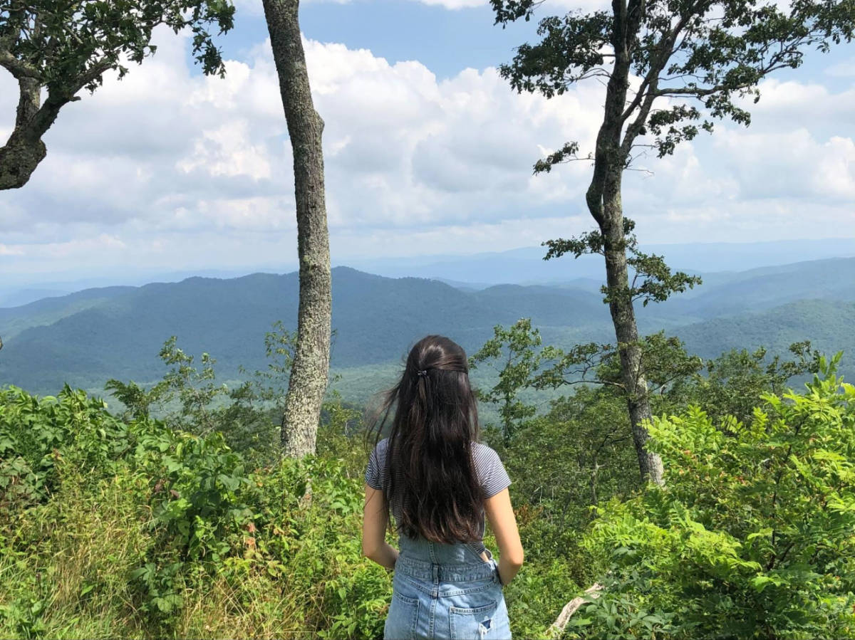 The author Lea Rose Allbaugh admiring the view in Blue Ridge Parkway