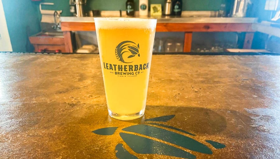 A glass of brewed beer served in Leatherback Brewing Company
