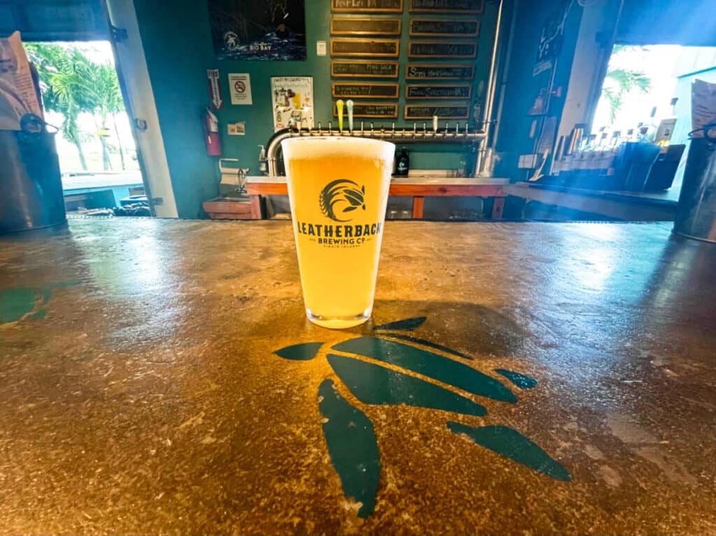 A glass of brewed beer served in Leatherback Brewing Company