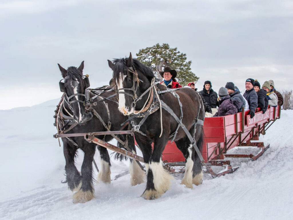 People enjoying their sleigh ride in Leavenworth
