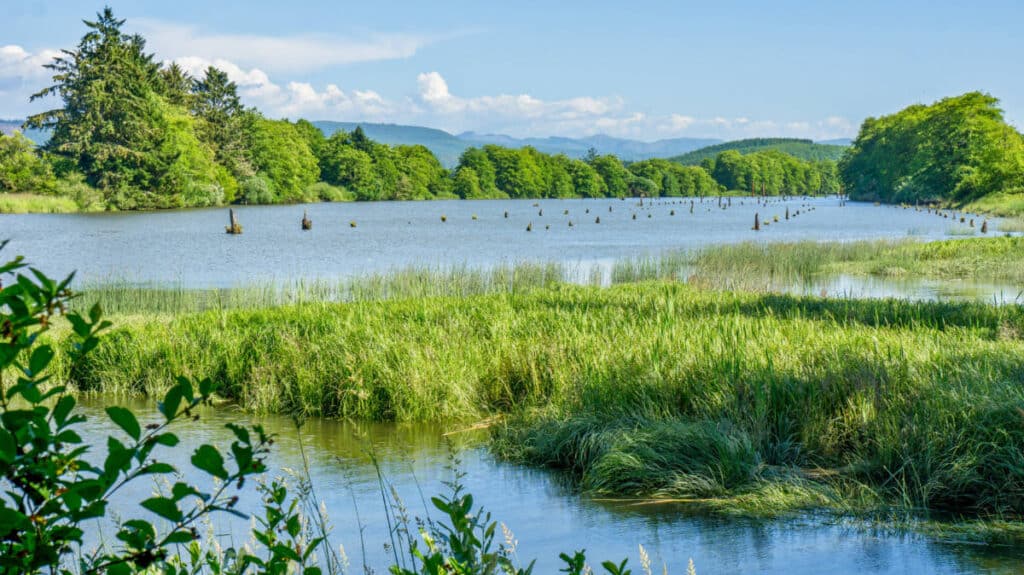 View of the lake surrounded by greenery in Lewis & Clark National Historic Trail