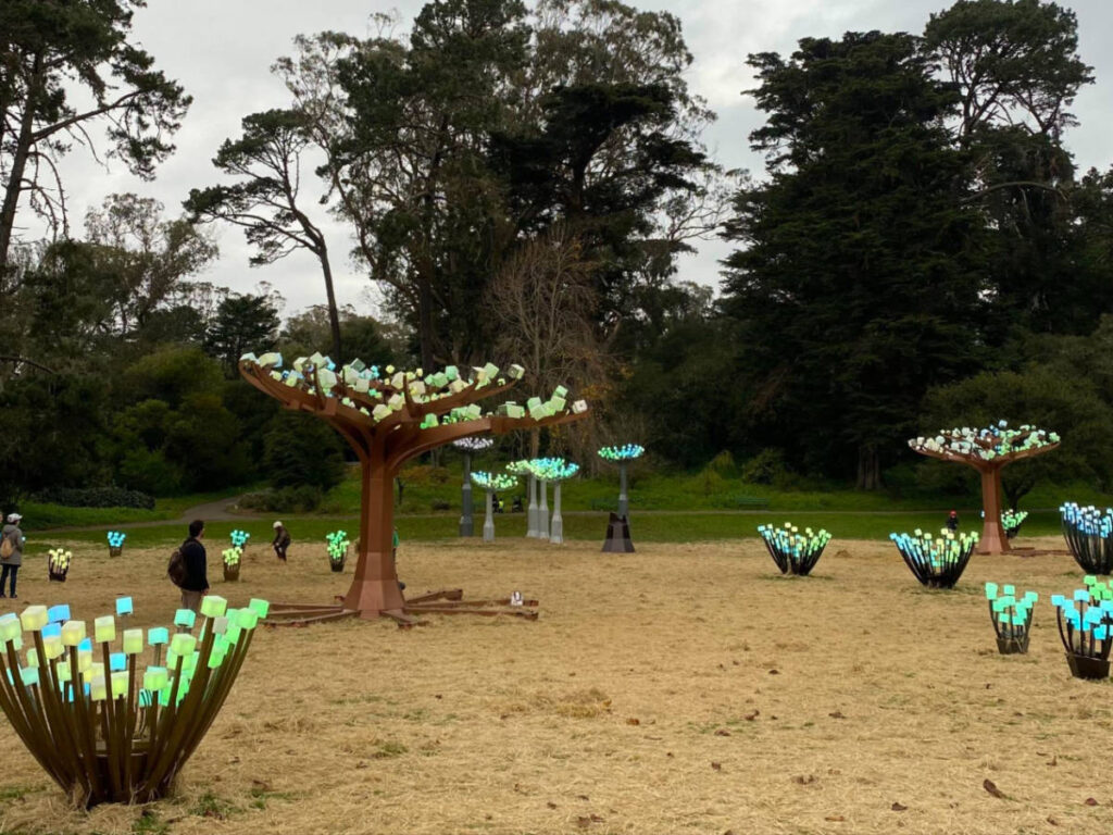 The Lights of Entwined at the Golden Gate Park