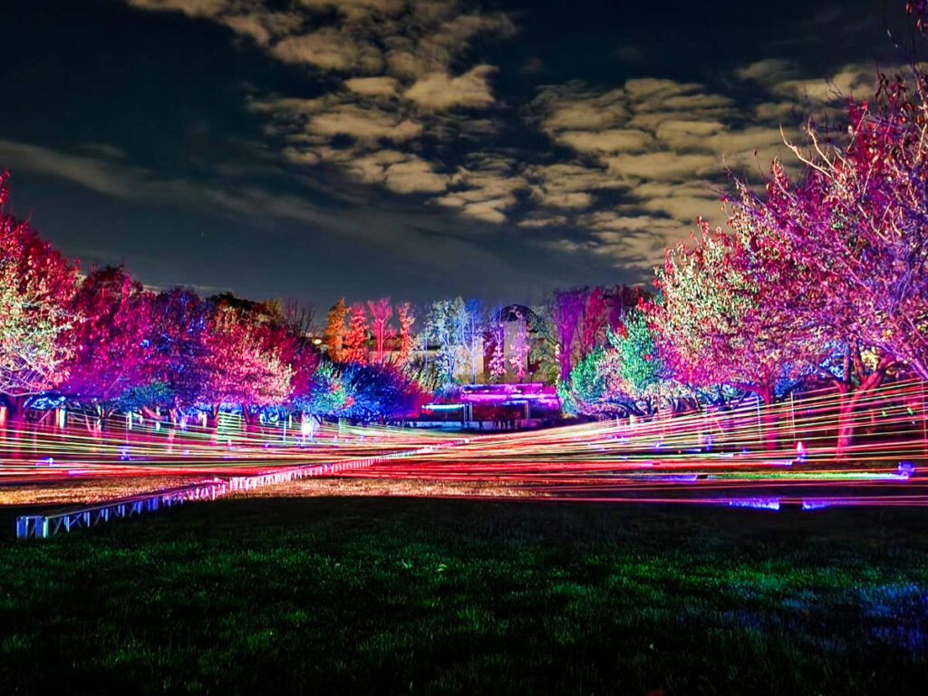 View of the colorful lights illuminated on the trees at Brooklyn Botanic Garden