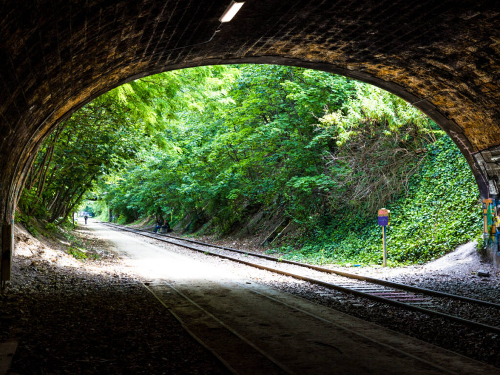 View of the greenery outside the tunnel of Ligne de la Petite Ceinture