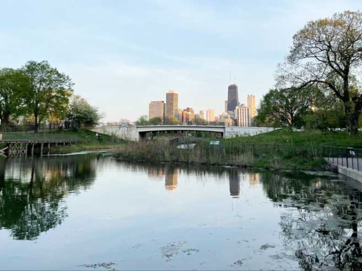 View from a boardwalk in Lincoln Park
