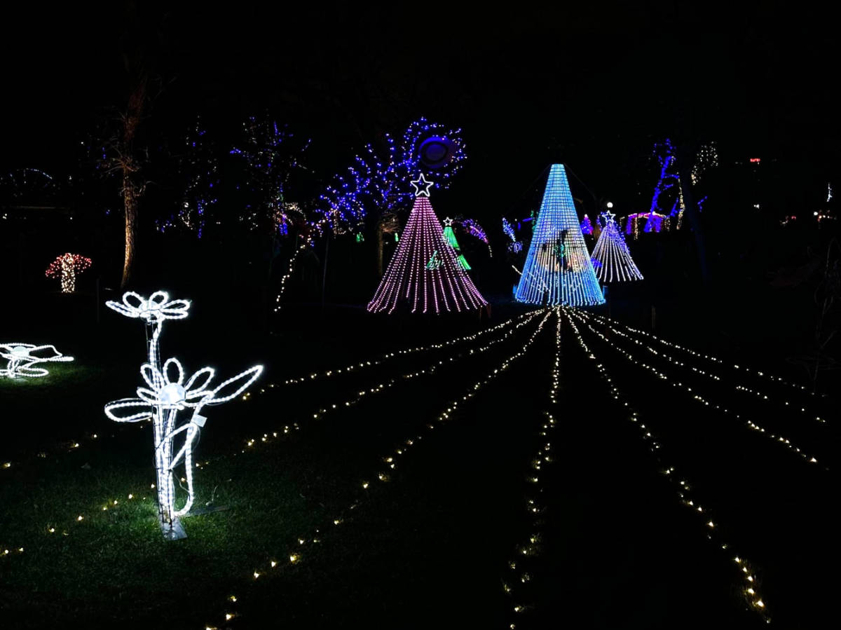 View of the illuminated Christmas lights display at the Lincoln Park ZooLights at night