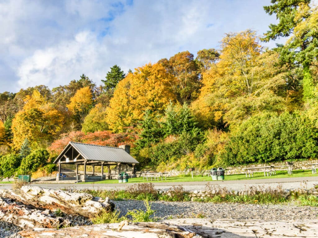 View of the fall foliage at the Lincoln Park