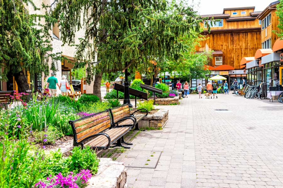 View of a greenery area and shops in Lionshead Village