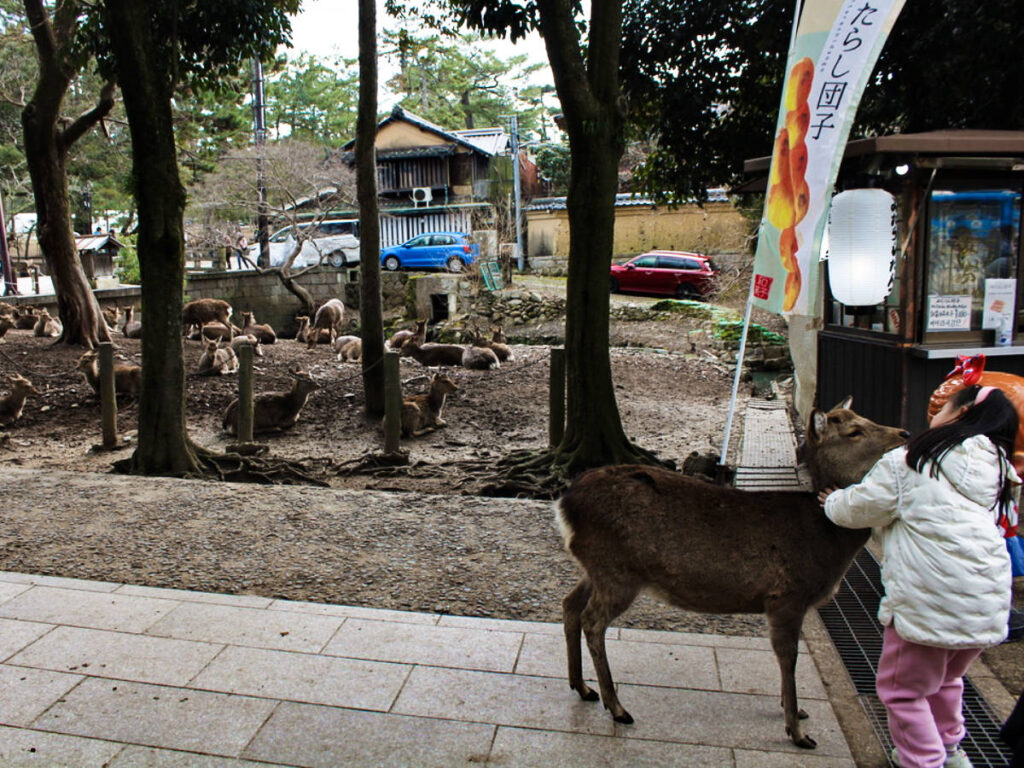 A little girl petting the deer in Nara