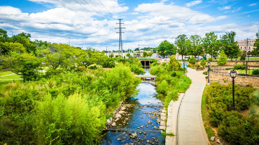 View of the greenery near the walkway in Little Sugar Creek