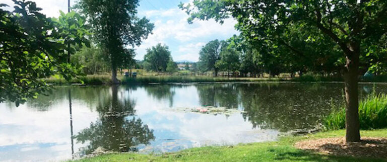 View of a lake and greenery in Littleton