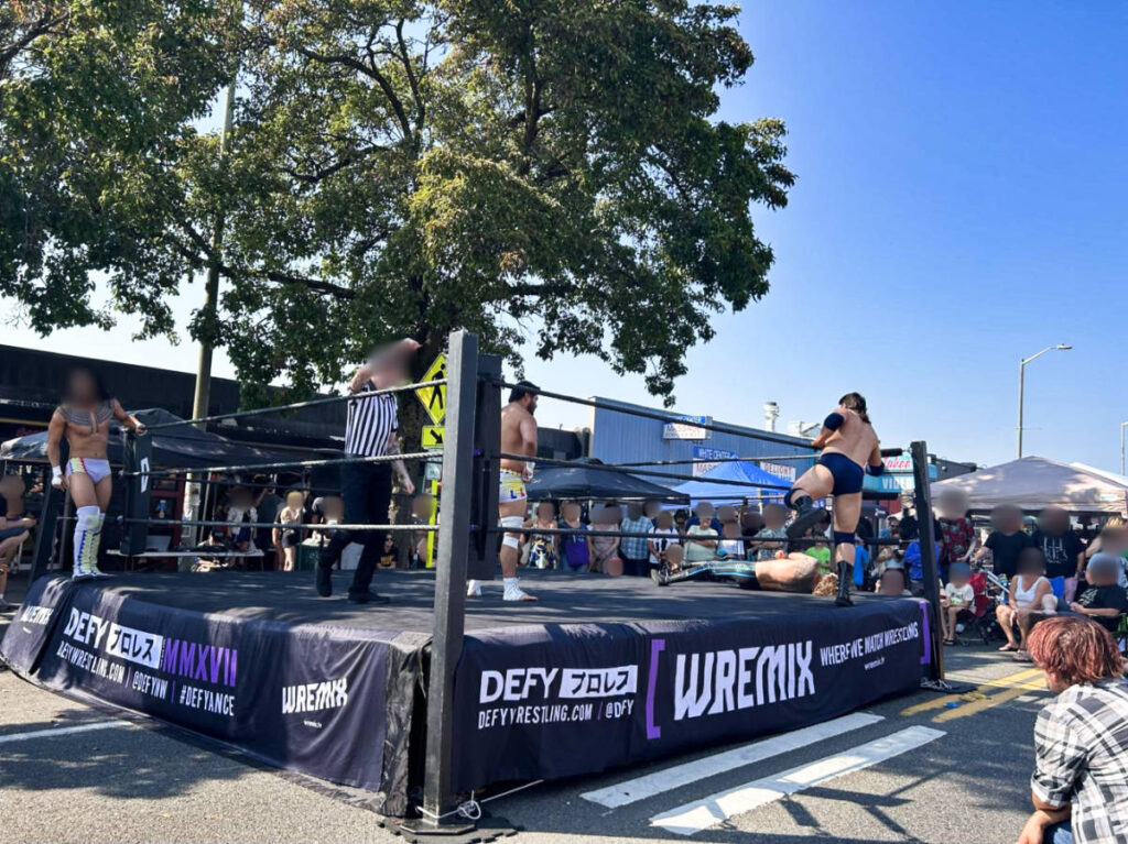 The crowd watching a live wrestling game
