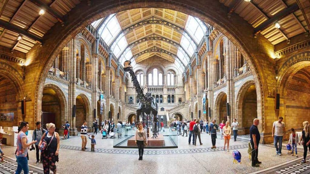 View of people inside the Natural History Museum in London