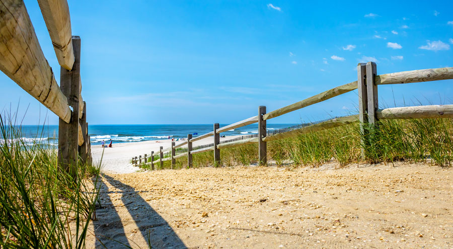 A pathway going to the beach of Long Beach Island