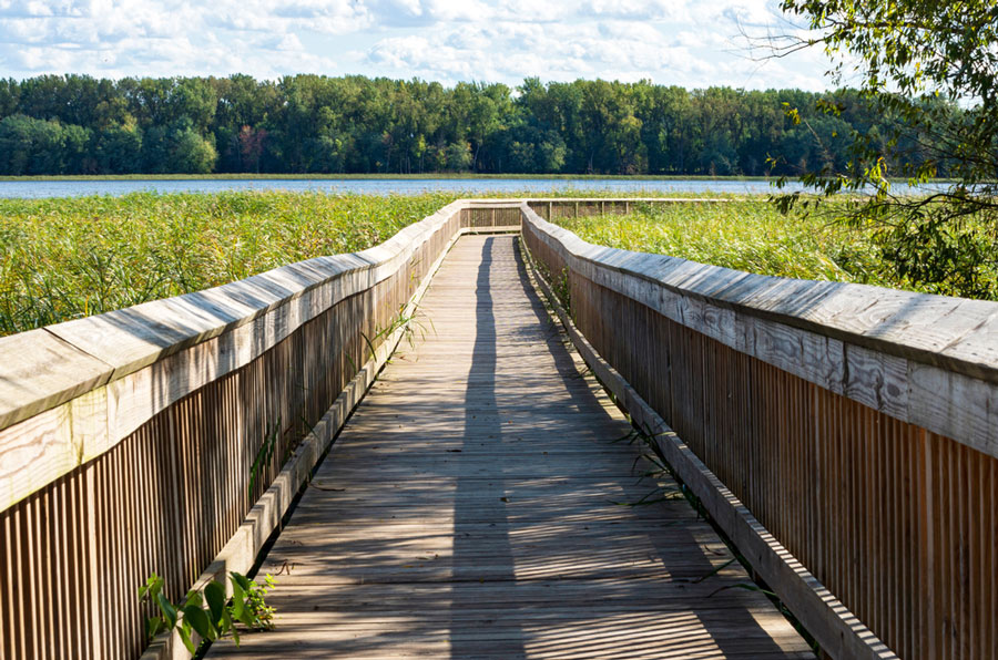 The boardwalk in Long Meadow Lake in Minneapolis