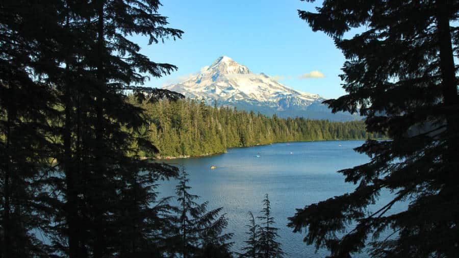 Scenic view of the Mt. Hood and lake behind the trees in Lost Lake Trail
