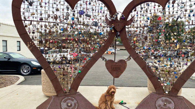 A puppy posing below the heart-shaped landmark with locket in Vista