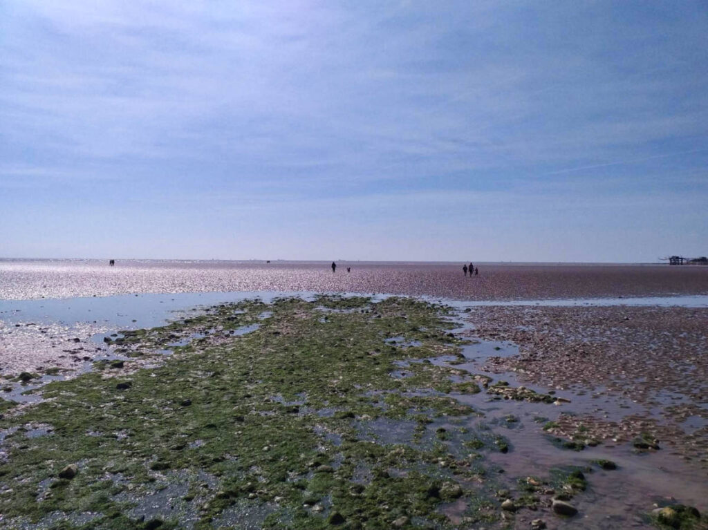 Panoramic view of the people at the La Rochelle at low tide