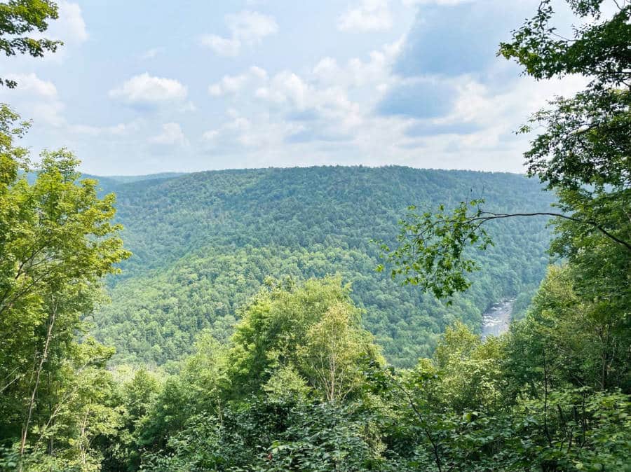 Scenic overlooking view of the green mountains from Loyalsock State Forest