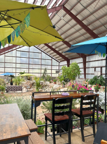 A seating area at the lush  greenhouse