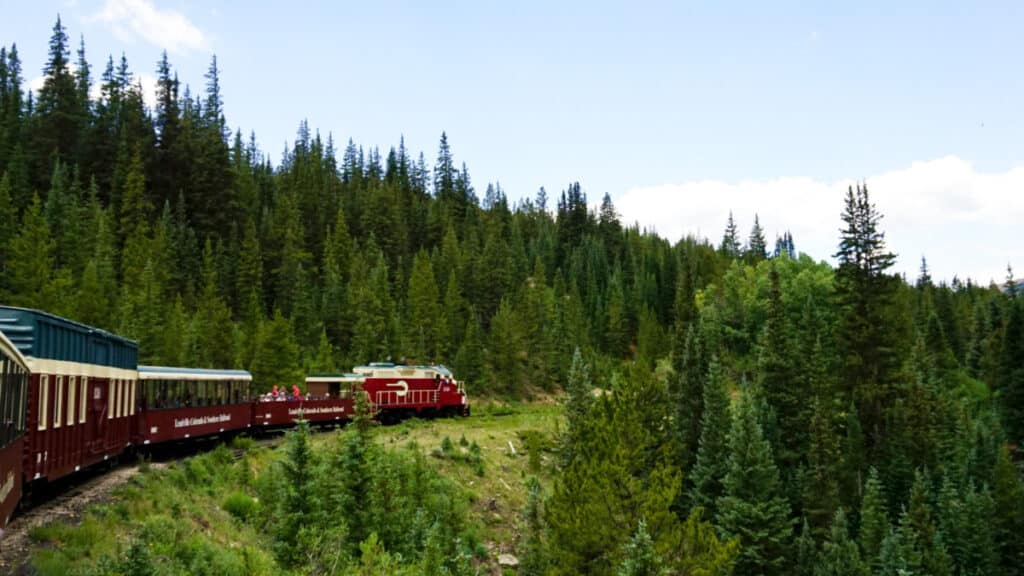 View of the railroad in the trail surrounded by lush pine trees