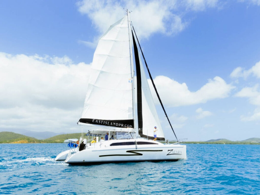 A white luxury catamaran sailing