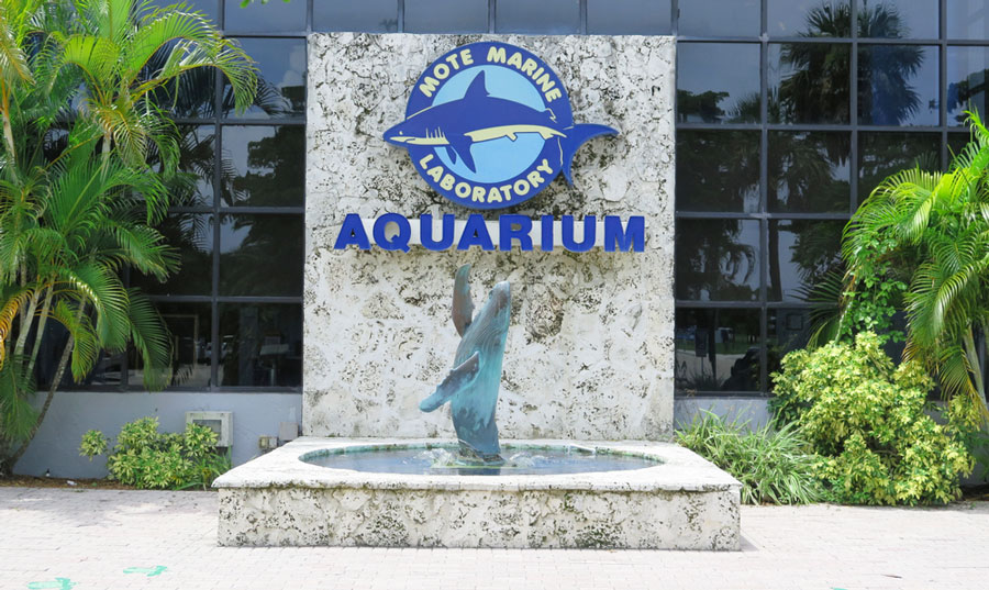 View of the MOTE Marine Laboratory & Aquarium sign at the entrance