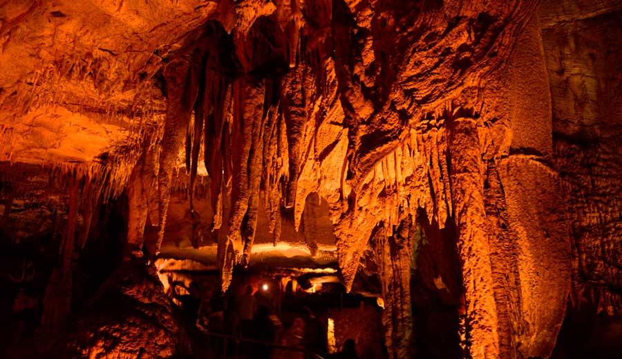 View inside the Mammoth Cave National Park